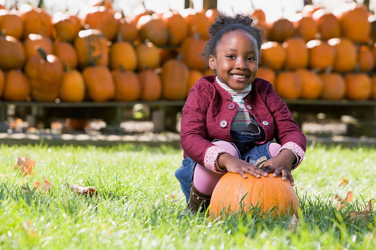 Preschool girl sitting with pumpkin with lots of pumpkins behind her