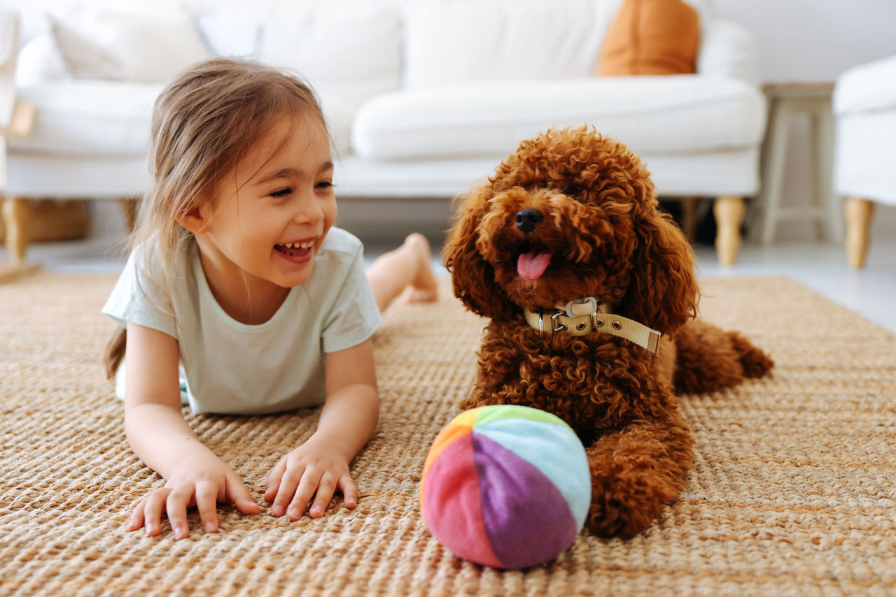 Young girl and her pet dog lying on the floor playing with a ball