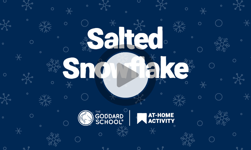 salted snowflake craft video screen