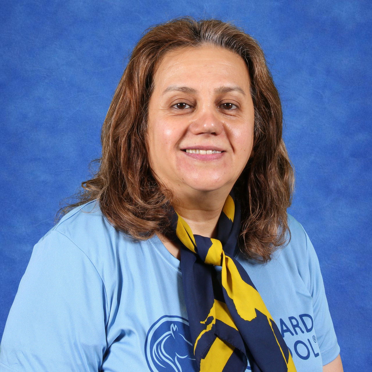 Ms Hamideh